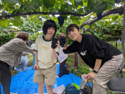 🍇ぶどう狩り🍇